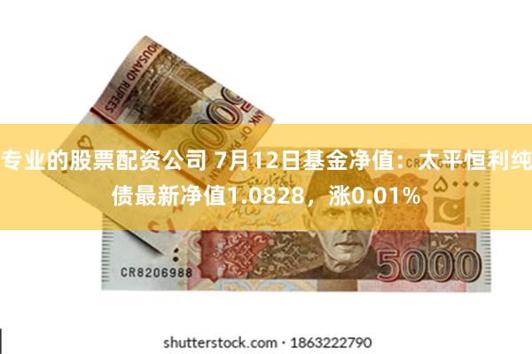 专业的股票配资公司 7月12日基金净值：太平恒利纯债最新净值1.0828，涨0.01%