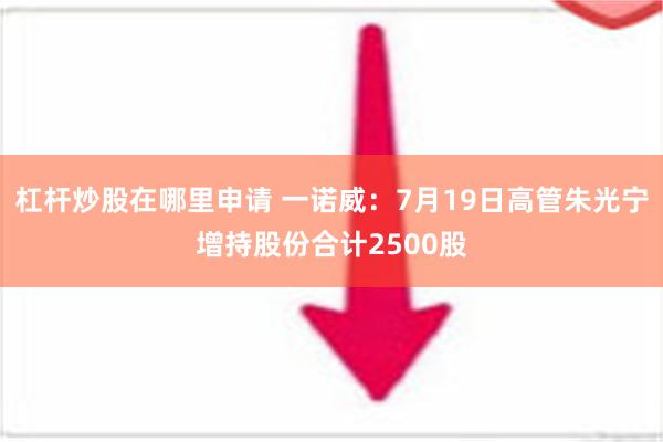 杠杆炒股在哪里申请 一诺威：7月19日高管朱光宁增持股份合计2500股