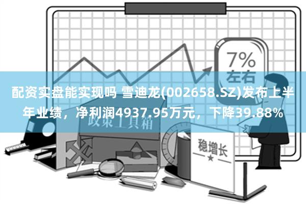 配资实盘能实现吗 雪迪龙(002658.SZ)发布上半年业绩，净利润4937.95万元，下降39.88%