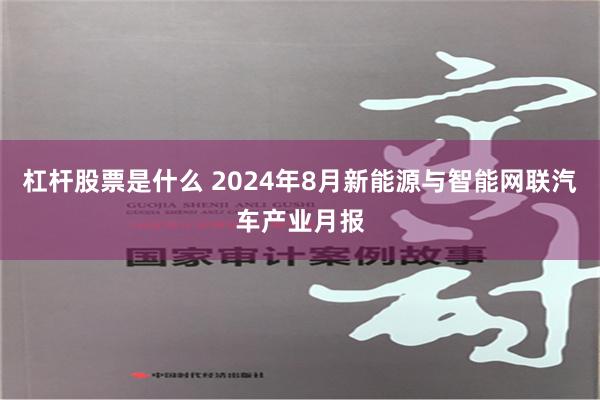 杠杆股票是什么 2024年8月新能源与智能网联汽车产业月报