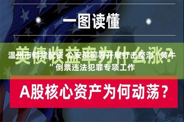 温州市期货配资 公安部部署开展打击整治“黄牛”倒票违法犯罪专项工作