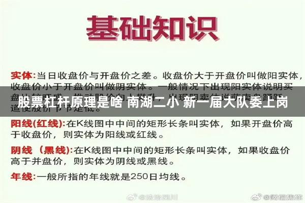 股票杠杆原理是啥 南湖二小 新一届大队委上岗