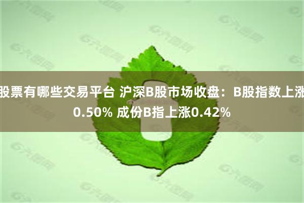 股票有哪些交易平台 沪深B股市场收盘：B股指数上涨0.50% 成份B指上涨0.42%