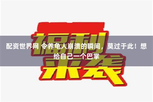 配资世界网 令养龟人崩溃的瞬间，莫过于此！想给自己一个巴掌