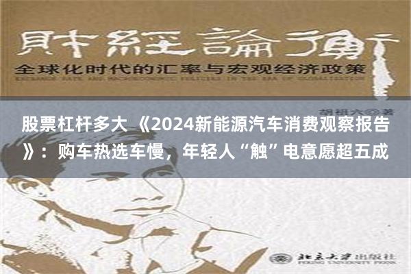 股票杠杆多大 《2024新能源汽车消费观察报告》：购车热选车慢，年轻人“触”电意愿超五成